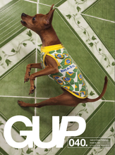 Load image into Gallery viewer, GUP #040 - EYES ON BRAZIL
